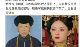 甄嬛传网友爆料视频大全